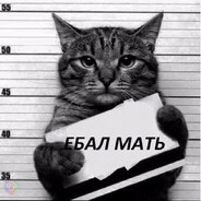 UP EL SIN SHLUHI