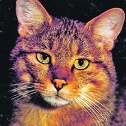 Kostkon - steam id 76561197961425865