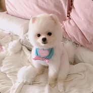 我妈让我改网名