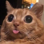 nariX . avatar