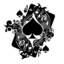 Ace