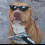Cachorrao