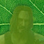 keanuleaves