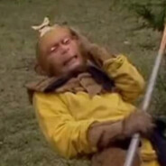 翻斗花园十六栋黄爷爷