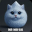 MR MEF4IK