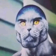 Агент Синяк