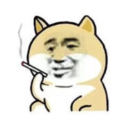 你的枪比我的牛子硬