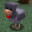 Chigga