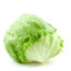 Lechuga