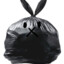 BvnnyTrash_TTV