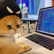 无敌小洛大王^_^