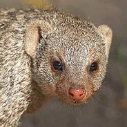 Benjamin Netanyahu