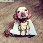 我就蹭蹭不进去.