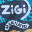 Zigi