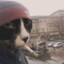 заварил пукачино