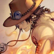 路行十载万里花