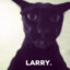 larry.
