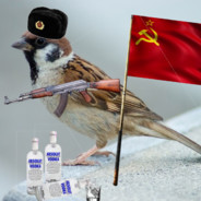 Soviet Sparrow