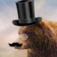 Mr_Bear