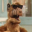 alf