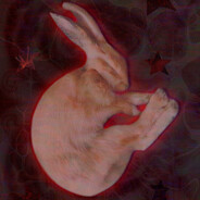 The Humble Lagomorph