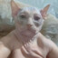 robmin