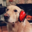 huisosatelnayaMashina_2000's avatar