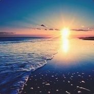elray - steam id 76561197964499415