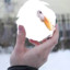SnowBeak