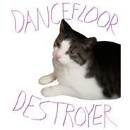 DancefloorDestroyer