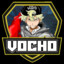 The_Vocho