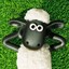 Shaun