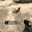 ChickenSlayer69