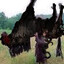 The Erlkönig