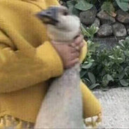 不会跳舞的小武