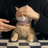 富江