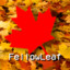 fellowleaf