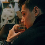 桃花依旧笑春风