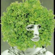 saladinha de alface