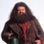 Hagrid