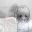 recluse