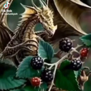 Blackberry Dragon