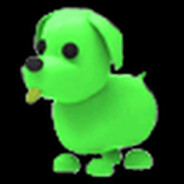 FAT DOG WORLDWIDE (2026)