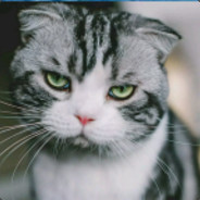 倚栏听雨落@2351