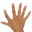 Fingers