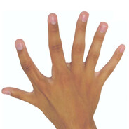 Fingers