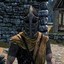 Whiterun Guard