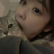 水风空落眼前花