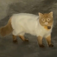 不是说好了一起抢A大吗