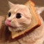 Bread Cat